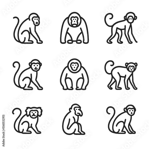 Jungle Primate Icons. Outline icon set of jungle primates: howler monkey, orangutan, spider monkey, capuchin, gibbon, marmoset,