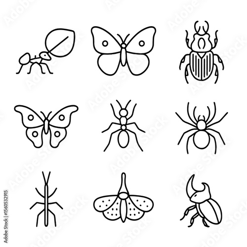 Jungle Insect Icons. Outline icon set of jungle insects & arachnids: leafcutter ant, morpho butterfly, goliath beetle, atlas moth,