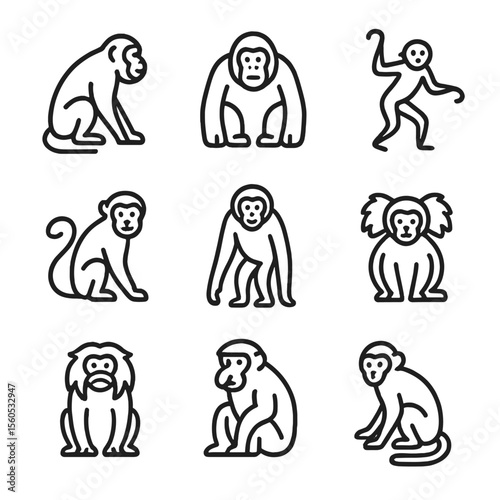 Jungle Primate Icons. Outline icon set of jungle primates: howler monkey, orangutan, spider monkey, capuchin, gibbon, marmoset,