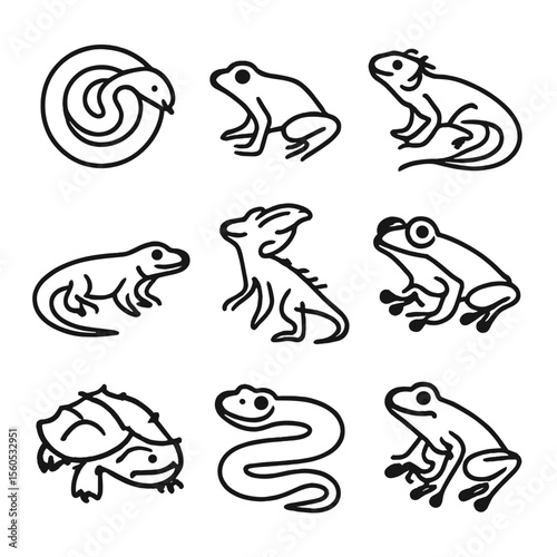 Jungle Reptile Icons. Outline icon set of jungle reptiles & amphibians: emerald tree boa, dart frog, green iguana, caiman lizard,