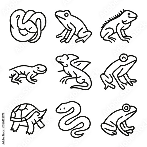 Jungle Reptile Icons. Outline icon set of jungle reptiles & amphibians: emerald tree boa, dart frog, green iguana, caiman lizard,