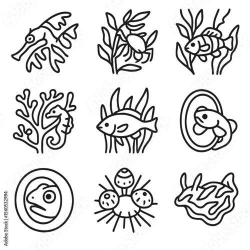 Kelp Mimicry Icons. Outline icon set of kelp forest mimicry: leafy seadragon fronds, kelp crab branch pose, juvenile rockfish
