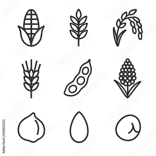 Crop Diversity Icons. Outline icon set of crop diversity: maize ear, wheat sheaf, rice panicle, barley head, soybean pod, sorghum