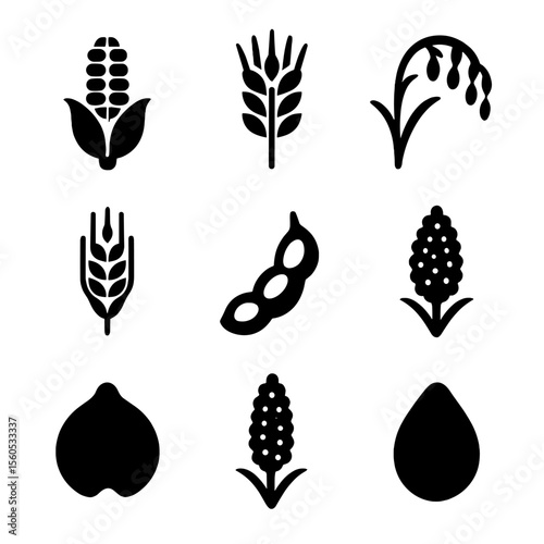 Crop Icon Diversity. Solid, Filled icon set of crop diversity: maize ear, wheat sheaf, rice panicle, barley head, soybean pod,