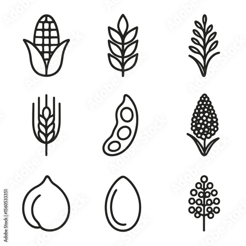 Crop Diversity Icons. Outline icon set of crop diversity: maize ear, wheat sheaf, rice panicle, barley head, soybean pod, sorghum