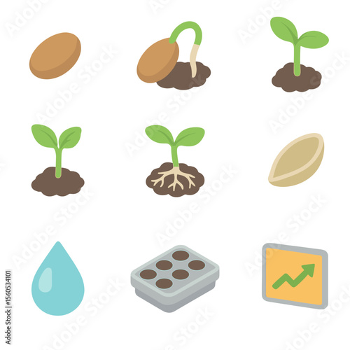 Seed Germination Icons. Isometric Flat icon set of seed germination stages: seed, radicle sprout, cotyledon leaves, true leaf,