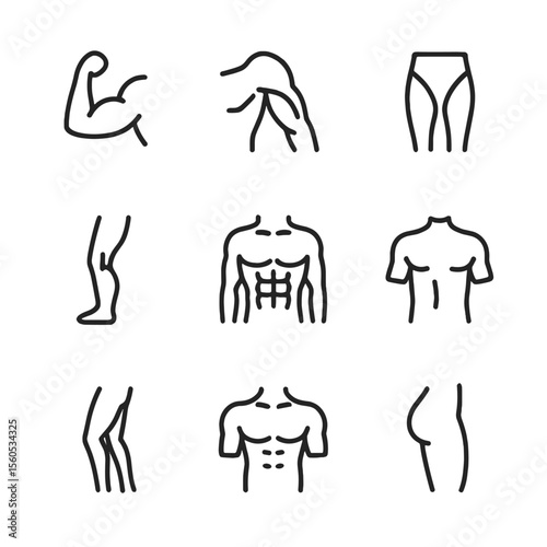 Muscle Icon Set. Outline icon set of human muscular system: biceps muscle, triceps, quadriceps, calf muscle, abdominal core,