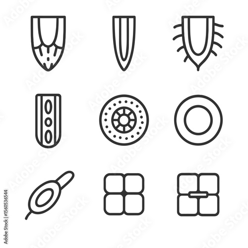 Root Anatomy Icons. Outline icon set of root anatomy: root cap, meristem zone, elongation zone, maturation zone, xylem vessel,