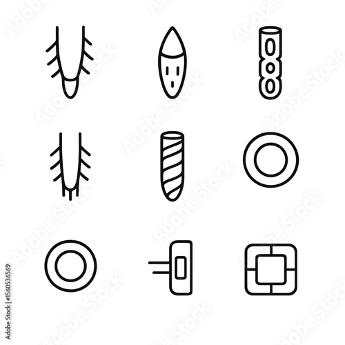 Root Anatomy Icons. Outline icon set of root anatomy: root cap, meristem zone, elongation zone, maturation zone, xylem vessel,
