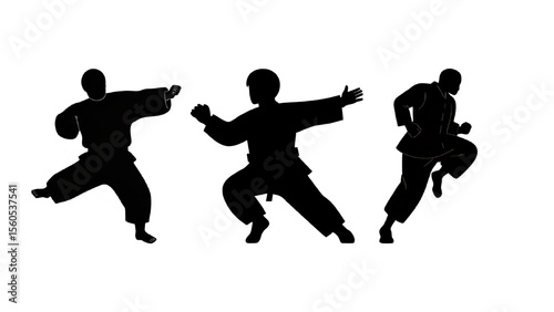 kungfu vector silhouette set