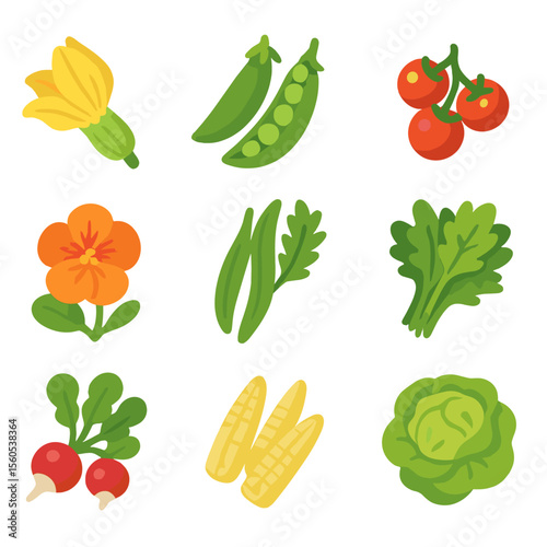 Garden Produce Icons. Isometric Flat icon set of cottage garden produce: zucchini blossom, pea pods, cherry tomatoes, edible