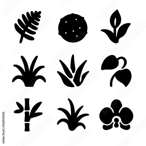 Humidity-Loving Plant Icons. Solid, filled icon set of humidity-loving bathroom plants: fern, moss ball, peace lily, spider plant,