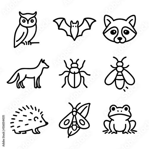 Nocturnal Wildlife Icons. Outline icon set of nocturnal wildlife: owl perched, bat in flight, raccoon face, fox silhouette, night