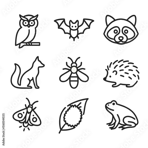 Nocturnal Wildlife Icons. Outline icon set of nocturnal wildlife: owl perched, bat in flight, raccoon face, fox silhouette, night