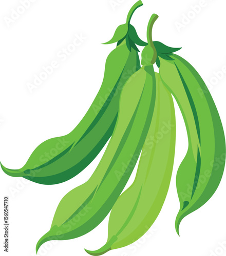 Fresh green beans on a clean white background for healthy eating and culinary designs