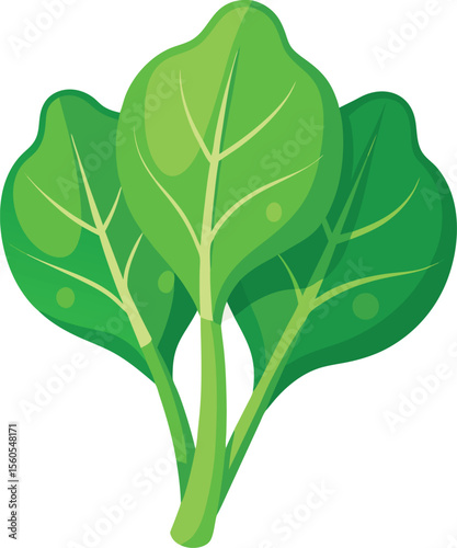 Fresh spinach leaves isolated on a clean white background for healthy food concepts