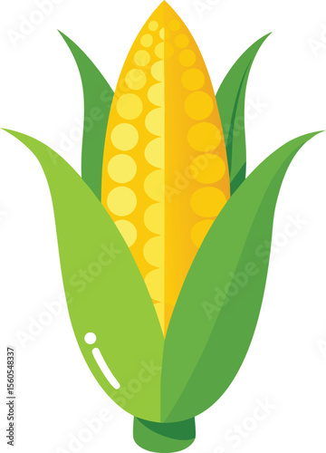 sweet-corn---clean-and-white-background---.eps