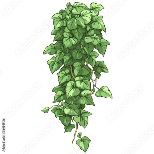 Kudzu, vector graphic, 2D flat isometric cartoon illustration on white background.
