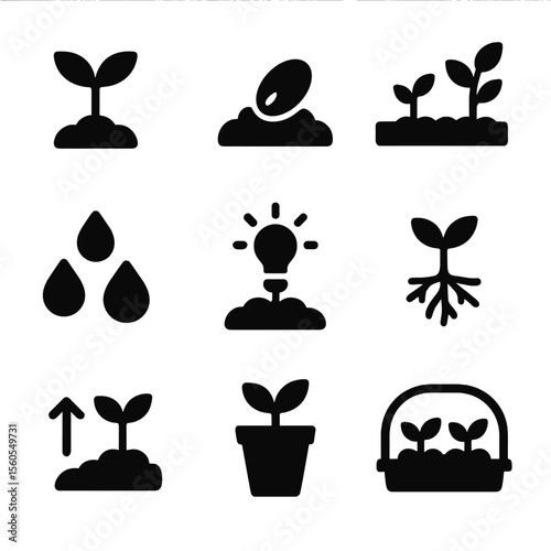 Seed Germination Icons. Solid, filled icon set of seed germination: sprout, seed in soil, growth stages, water droplets, lightbulb