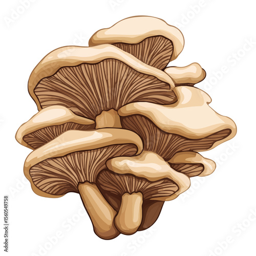 Maitake Mushroom, flat 2D isometric cartoon vector image isolated on white background.