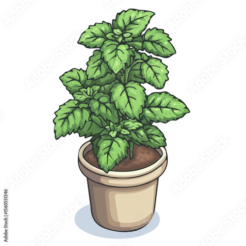 Lemon Balm, cartoon vector illustration, flat 2D isometric style, white background.