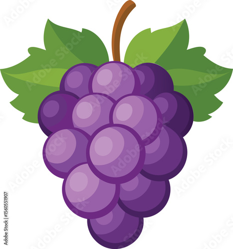 A vibrant cartoon illustration of a bunch of plump, purple grapes with green leaves attached.