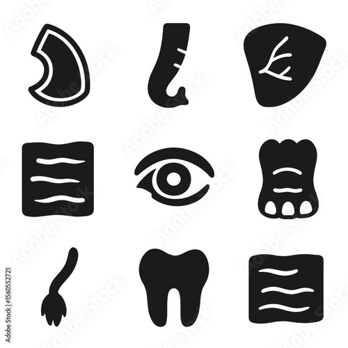 Elephant Anatomy Icons. Solid, filled icon set of elephant anatomy details: tusk cross-section, trunk detail, ear veins, skin