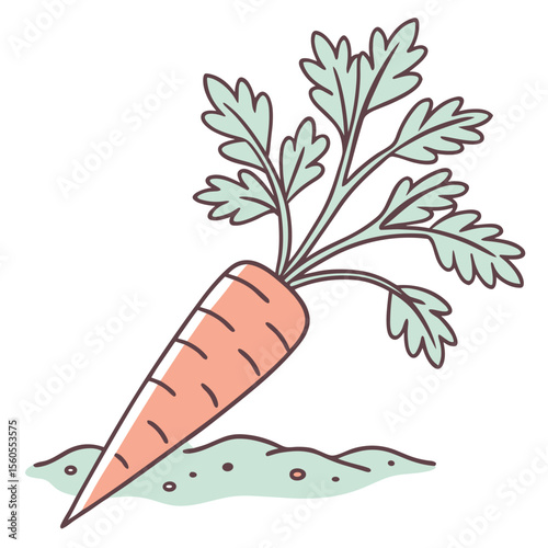 Carrot with green leaves growing in soil illustration  
