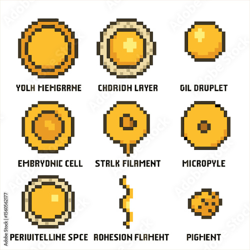 Fish Egg Anatomy Icons. Pixel art icon set of fish egg anatomy: yolk membrane, chorion layer, oil droplet, embryonic cell, stalk