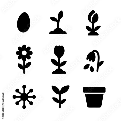 Flower Growth Icons. Solid, filled icon set of flower growth stages: seed, sprout, bud, blooming flower, wilting flower, fallen