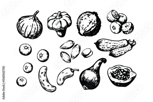 Organic Food Ingredients Vector Engraving Set. Detailed Monochrome Botanical Illustrations. Vintage Stipple & Hatching Style