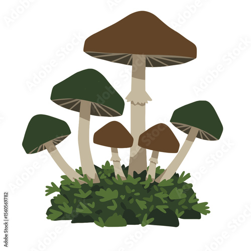 Geometric woodland mushrooms illustration for nature projects and eco packaging