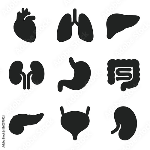 Internal Organs Icons. Solid, filled icon set of internal organs: heart, lungs, liver, kidneys, stomach, intestines, pancreas,