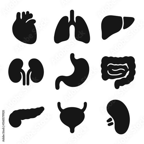 Internal Organs Icons. Solid, filled icon set of internal organs: heart, lungs, liver, kidneys, stomach, intestines, pancreas,