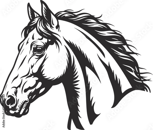 Horse head vector illustration equine animal mammal drawing graphic design silhouette art print 