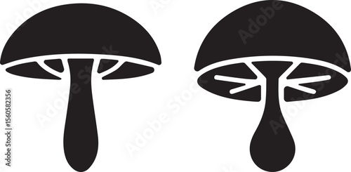 mushroom, silhouette, fungus, nature, forest, plant, wild, edible, organic, natural, biology, growth, woodland, botanical