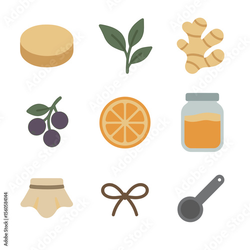 Kombucha Icon Set. Flat icon set of kombucha flavor infusions: SCOBY disc, tea leaf, ginger root, berry cluster, citrus slice,