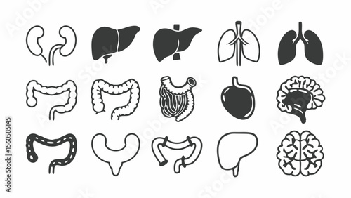 Collection of stylized human organ icons in black and white outline and silhouette