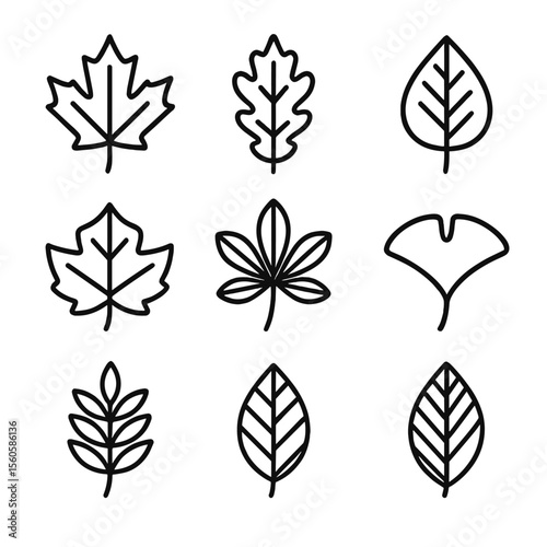 Leaf Icon Grid. Outline icon set of common leaf types: maple leaf, oak leaf, birch leaf, elm leaf, sycamore leaf, chestnut leaf,