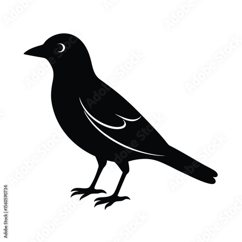 Bird vector silhouette flying creature on white background for avian species and wildlife visuals