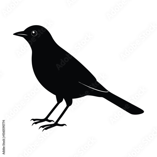 Blackbird vector silhouette perched bird on white background for songbird and forest wildlife art