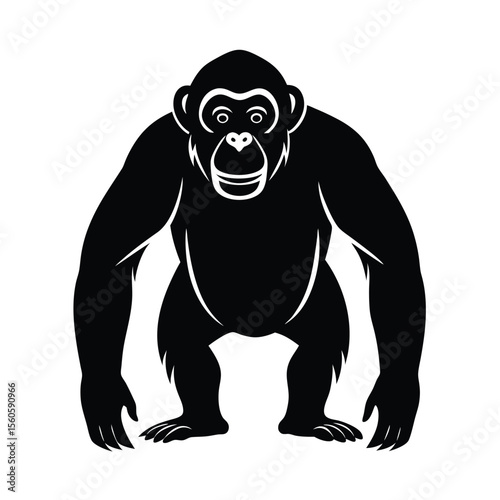 Bonobo vector silhouette great ape on white background for primate evolution and forest concepts