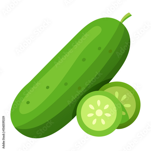 Fresh green cucumber with slices on white background