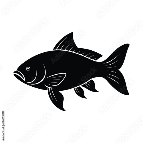 Carp vector silhouette freshwater fish on white background for pond lake and aquatic life visuals