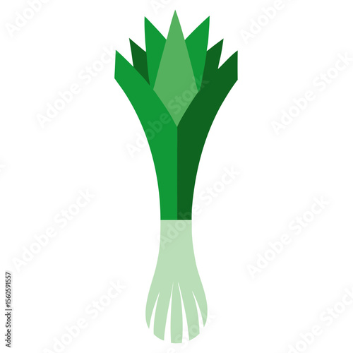 Stylized flat illustration of a green leek vegetable on a white background
