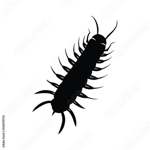 Centipede vector silhouette crawling insect on white background for creepy crawly bug design themes