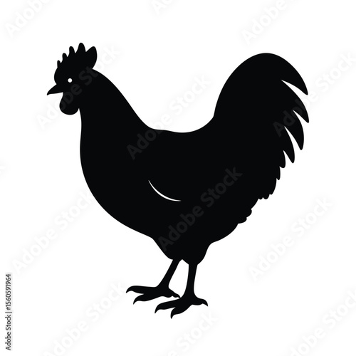 Chicken vector silhouette poultry bird on white background for farm animals and food industry art