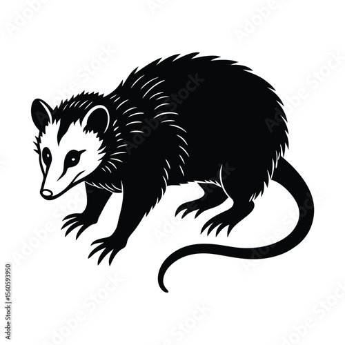 Opossum vector silhouette marsupial on white background for nocturnal animal and nature design