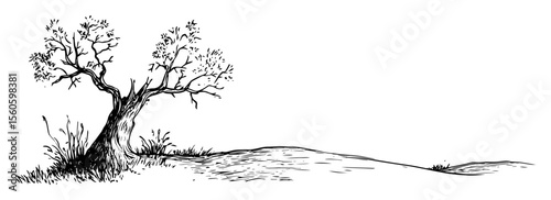 solitary old gnarled tree on a hill hand drawn vector sketch