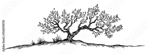 hand drawn windswept tree landscape vector line art illustration